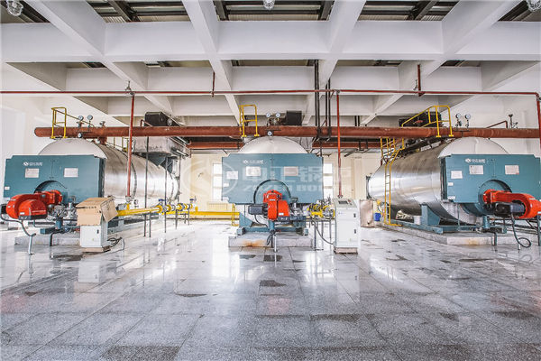 燃?xì)忮仩t選型