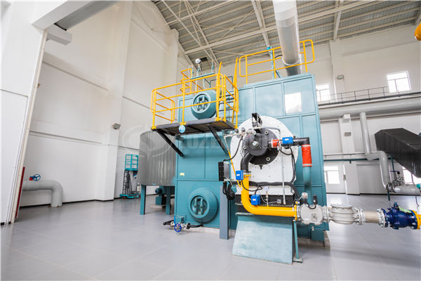 燃固體燃料蒸汽鍋爐模擬機(jī)