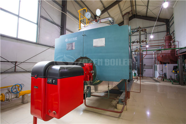 100t水冷鏈條爐