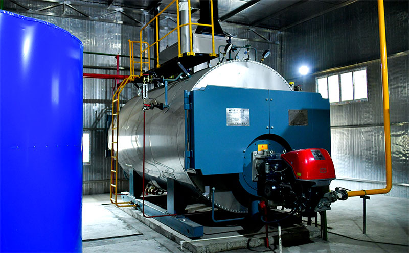 燃煤鏈條爐客戶案例圖片