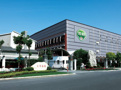 10噸、8噸 DZL 生物質(zhì)鍋爐