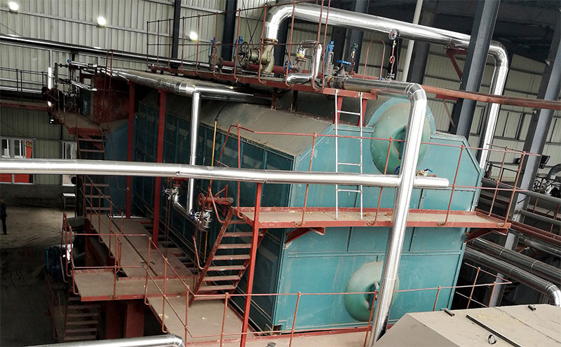 20噸天然氣鍋爐型號(hào)客戶案例圖片