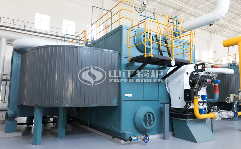 煙臺dzl4-1.25-aii蒸汽鍋爐價客戶案例圖片